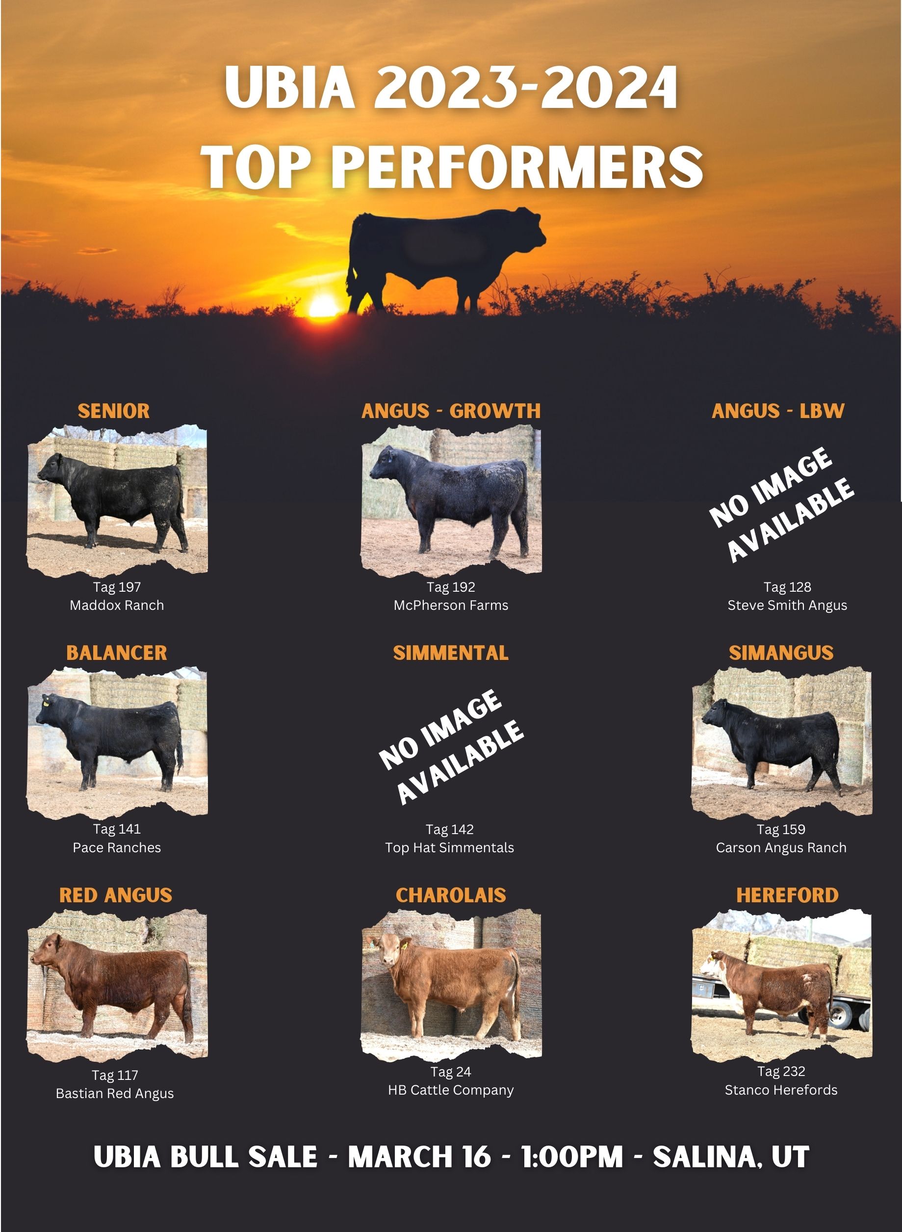 Top Performing Bulls